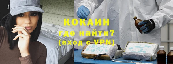 мет Алексин
