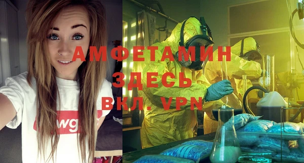 мет Алексин
